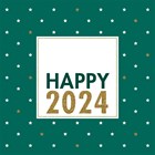 happy 2024 sterren op groen met bedrijfslogo